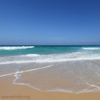 Meer